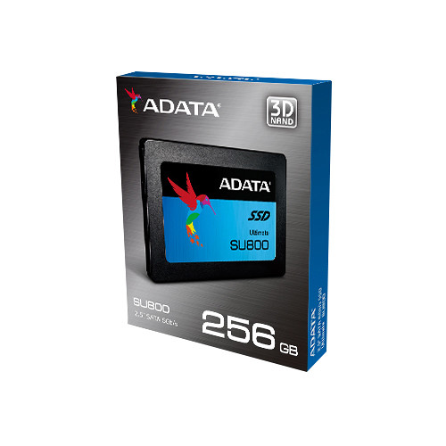 ADATA SU800 2TB - Gold One Computer